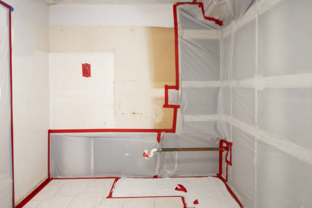 Asbestos and Lead Testing During Mold Inspection in Oolitic, IN